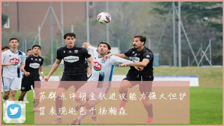 苏群点评胡金秋进攻能力强大但护筐表现逊色于杨瀚森
