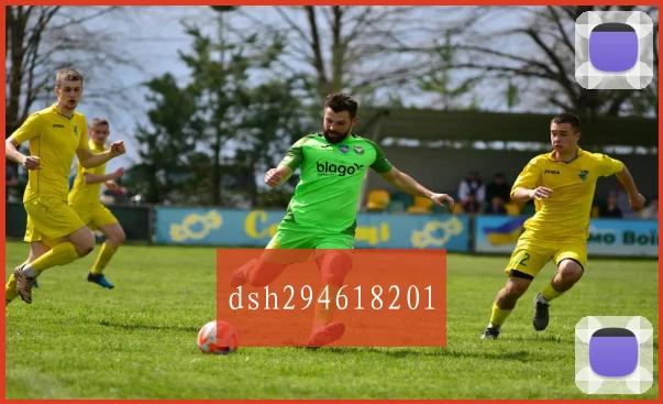 dsh294618201