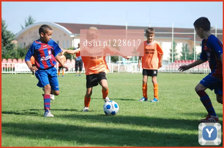 dshtpl228617