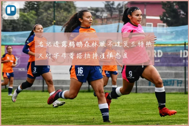 名记透露鹈鹕森林狼不追莫兰特热火对字母哥搭档持谨慎态度